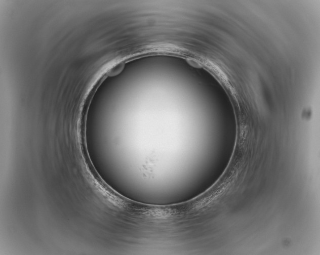 X0000096130947200801251013