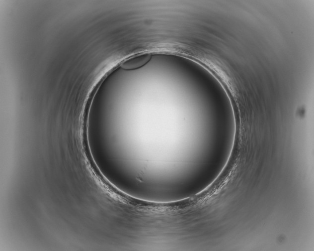 X0000096130949200801251013