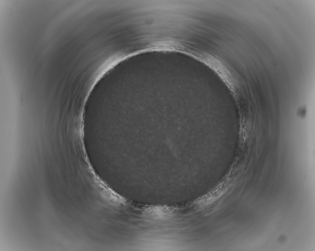 X0000096130950200801251013