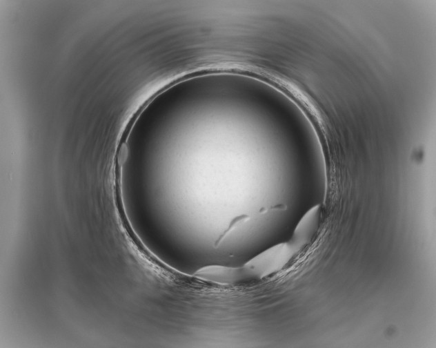 X0000096130951200801251013