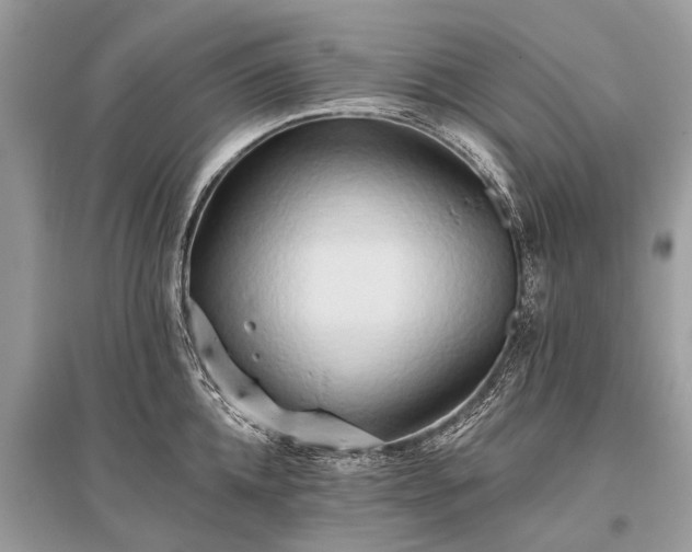 X0000096130952200801251013