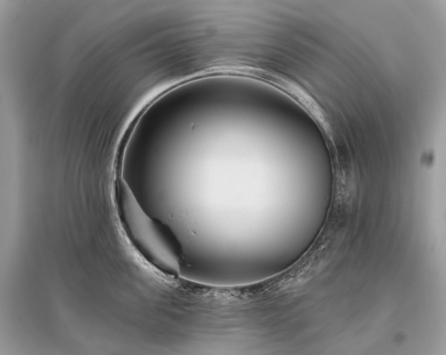 X0000096130955200801251013