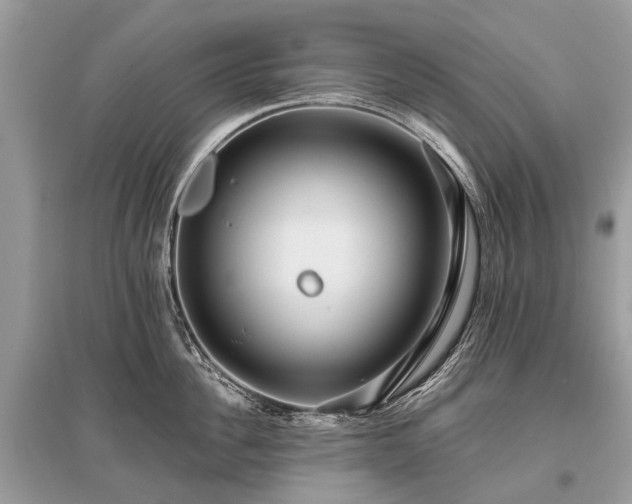 X0000096130956200801251013