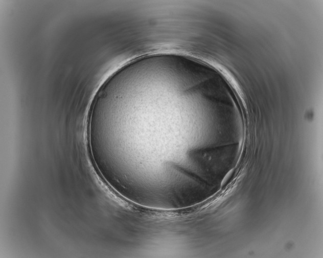 X0000096130957200801251013