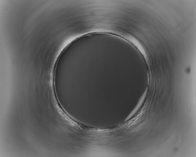 X0000096130958200801251013