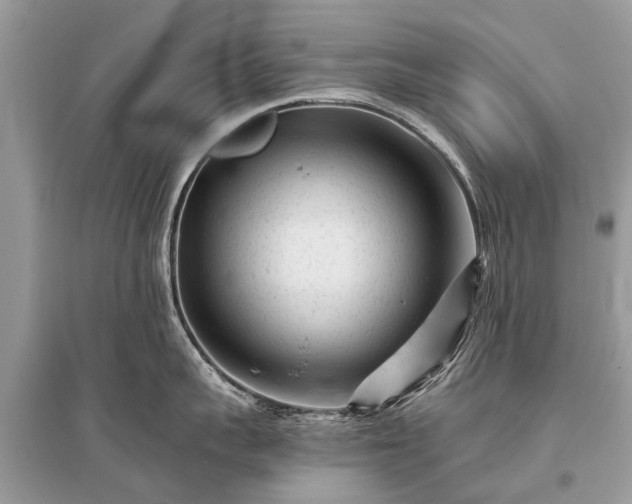 X0000096130959200801251013