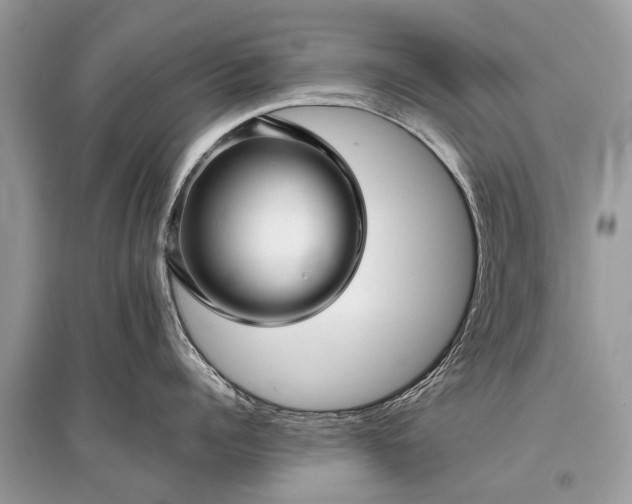 X0000096130960200801251013