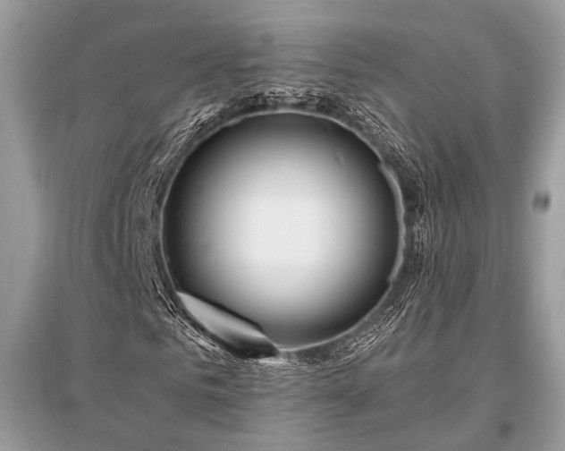 X0000096130961200801251013