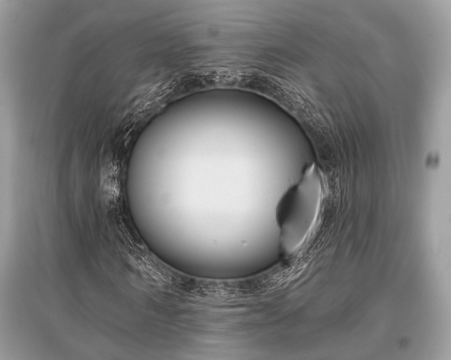 X0000096130962200801251013