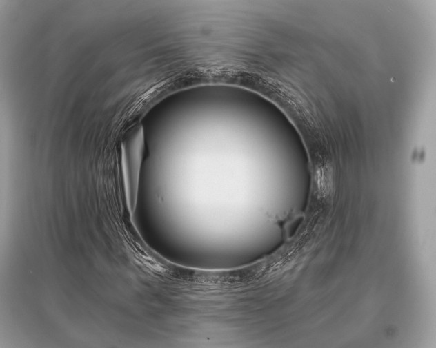 X0000096130963200801251013