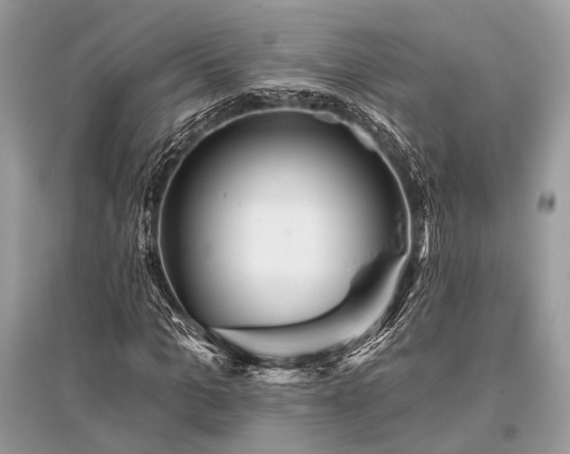 X0000096130965200801251013