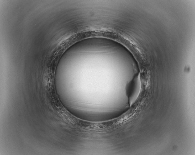 X0000096130966200801251012