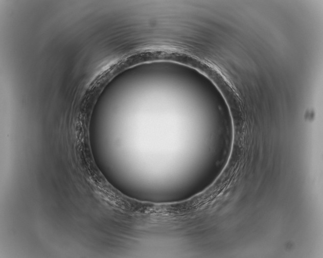 X0000096130967200801251012