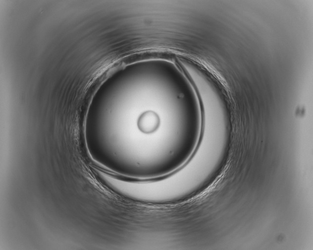 X0000096130969200801251012