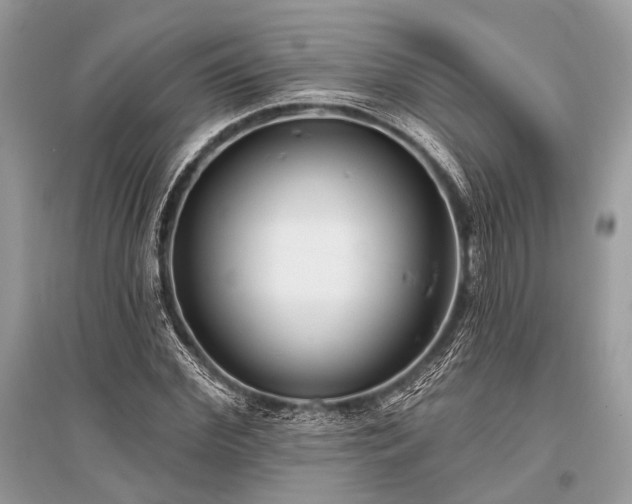 X0000096130972200801251012