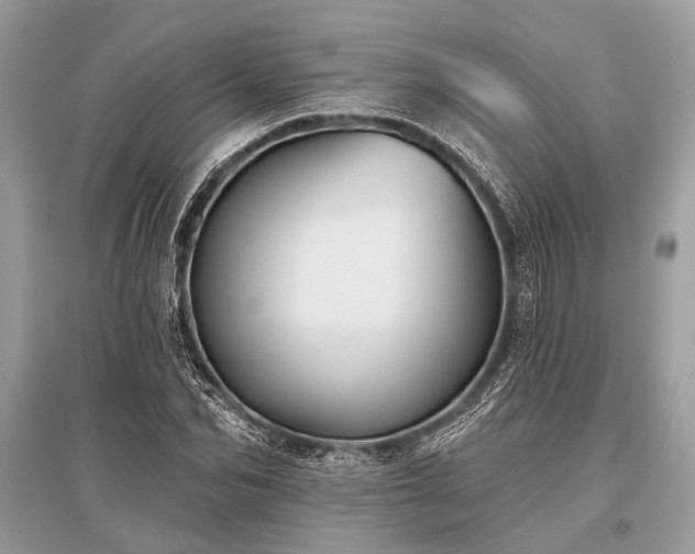 X0000096130974200801251012