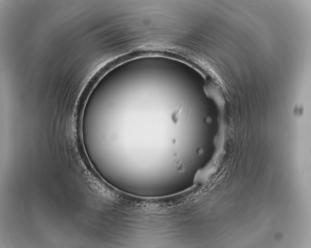 X0000096130976200801251012