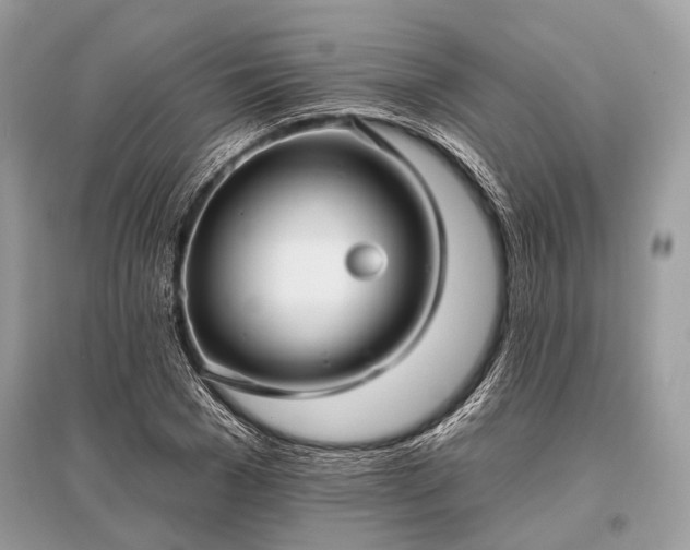 X0000096130977200801251012