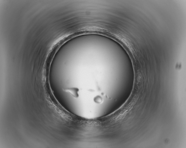 X0000096130979200801251012