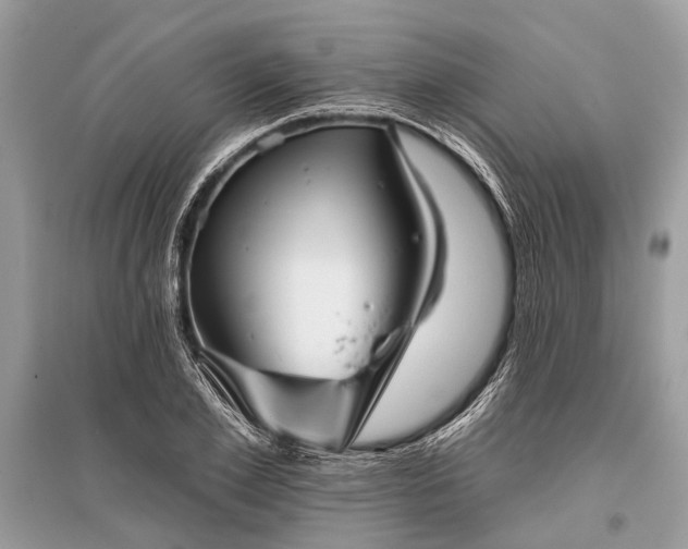 X0000096130981200801251012