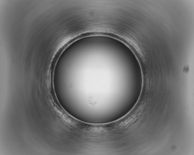 X0000096130982200801251012
