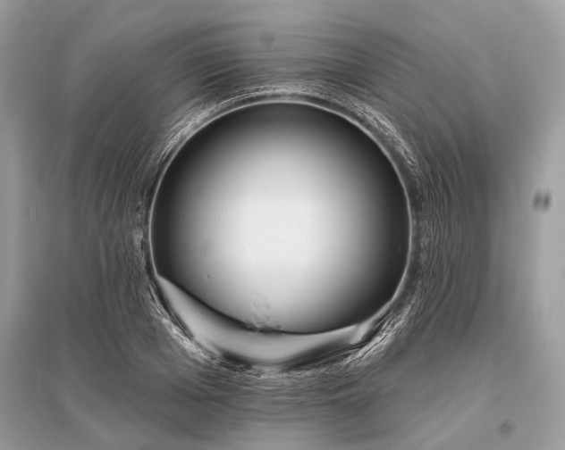 X0000096130985200801251012