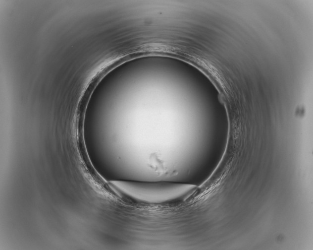 X0000096130987200801251012