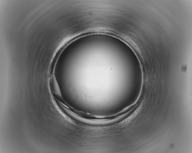 X0000096130989200801251012