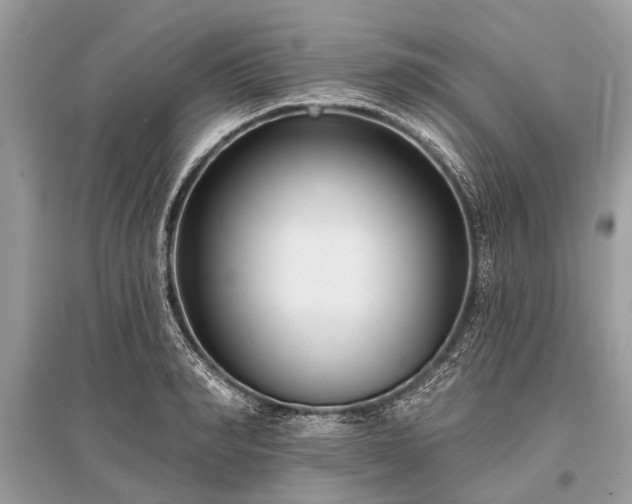 X0000096130990200801251012