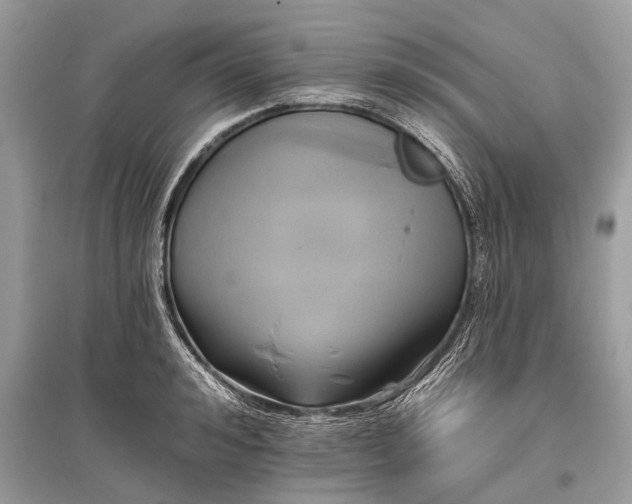 X0000096130992200801251012