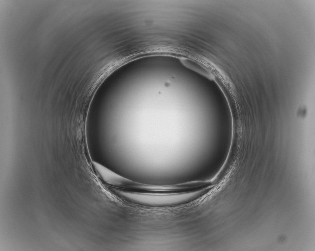 X0000096130993200801251012