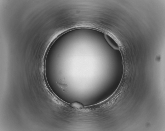 X0000096130996200801251012