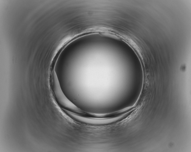 X0000096130997200801251012