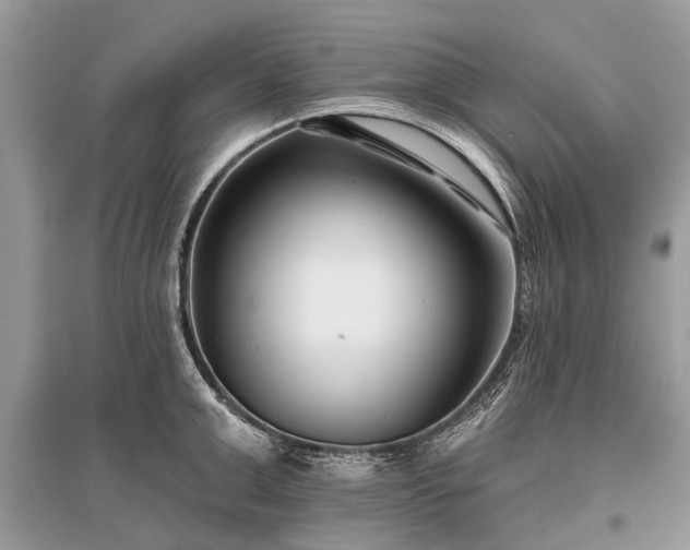 X0000096130999200801251012