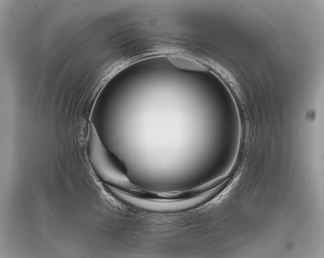 X0000096131001200801251012