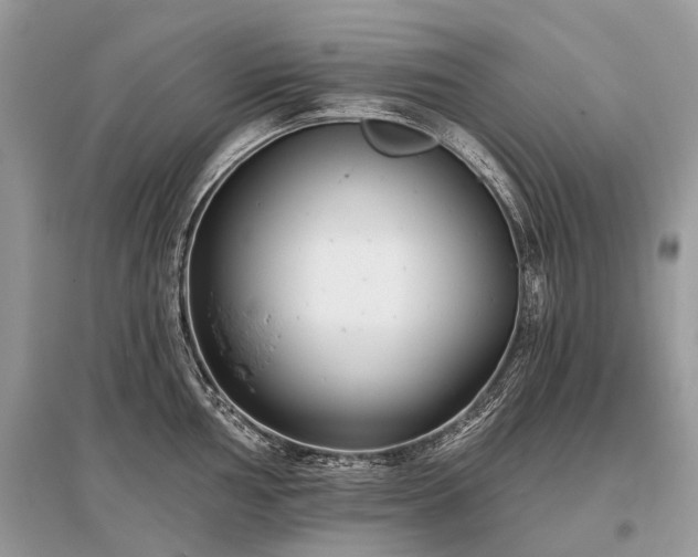 X0000096131002200801251012