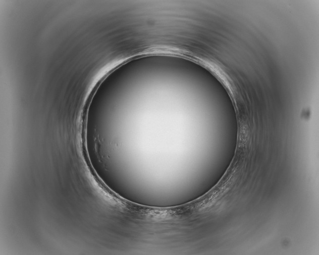 X0000096131003200801251012