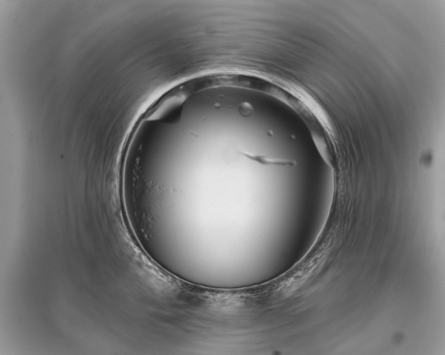 X0000096131004200801251012