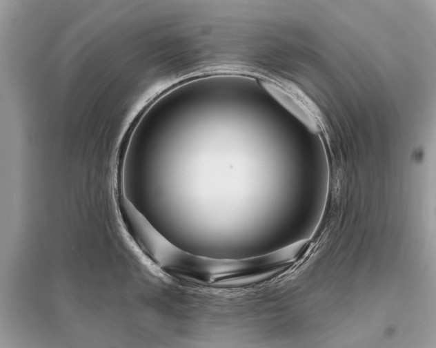 X0000096131005200801251012
