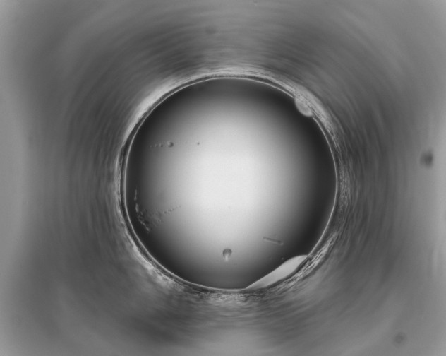 X0000096131006200801251012