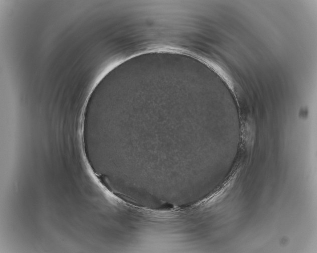 X0000096131007200801251012