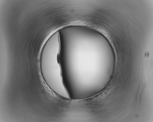 X0000096131008200801251012