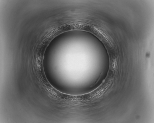 X0000096131010200801251011