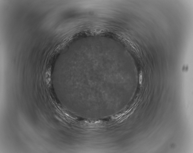 X0000096131011200801251011