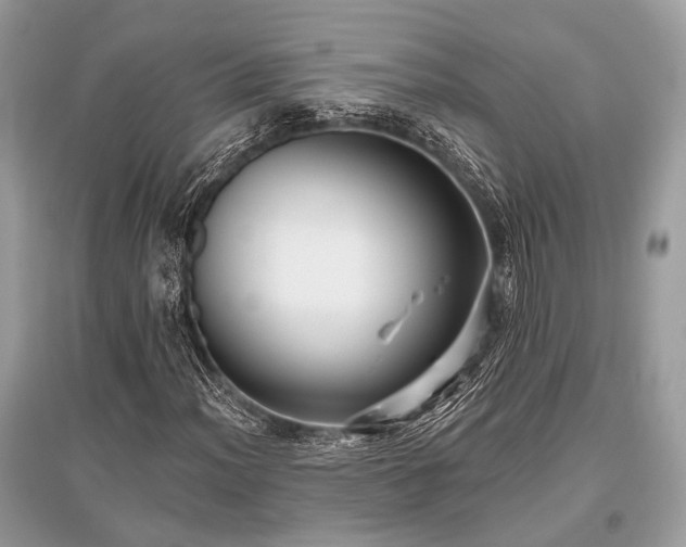 X0000096131012200801251011