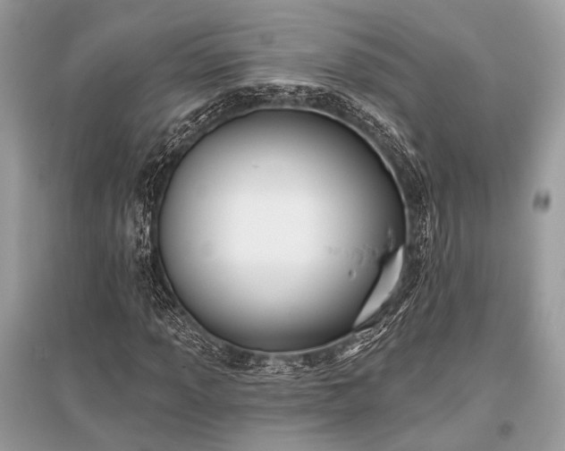 X0000096131013200801251011