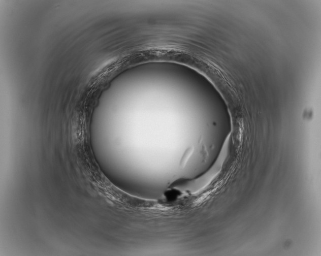 X0000096131014200801251011