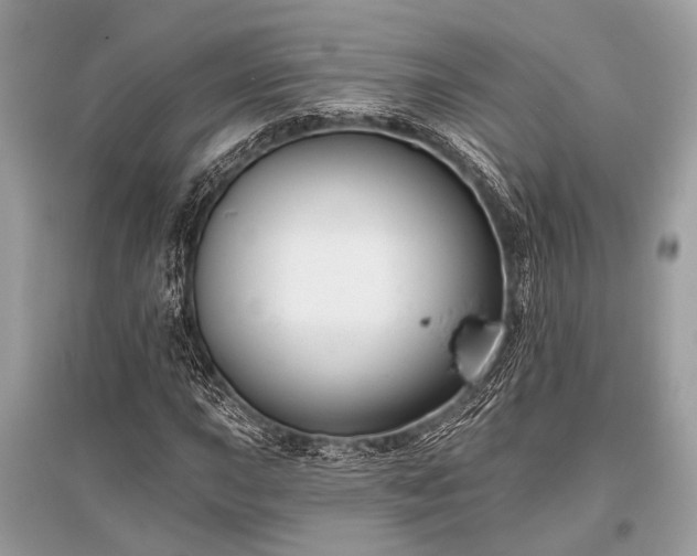 X0000096131015200801251011