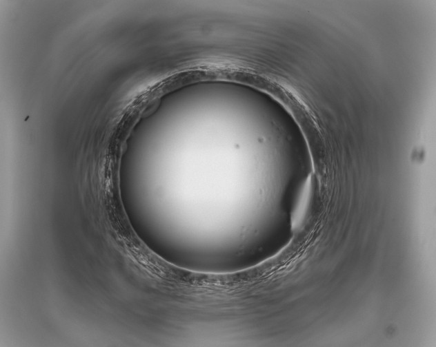 X0000096131016200801251011