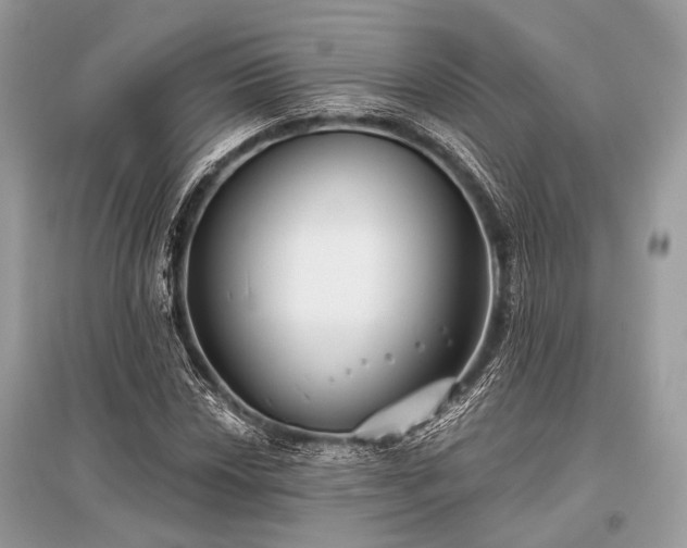 X0000096131018200801251011